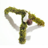Begeterday snail moss pole 12in closeup highlighting natural moisture for climbing