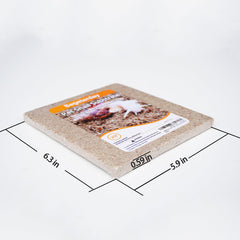 Begeterday snail terrarium moisture bed supporting snail humidity