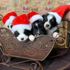 Beiabang plush Santa hat closeup, soft material for comfortable wear.