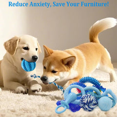 Beiker tug-of-war toys provide sturdy fun for small breeds and training.