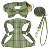 Beirui cute XS harness green front view for teacup dogs, comfortable daily walks.