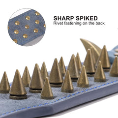 Beirui spiked collar with anti-bite rivets on rugged PU leather.