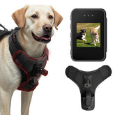 BEISLUO dog harness camera front-view captures first-person action and playful moments.
