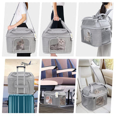 Bejibear large cat carrier folded for storage, space-saving when not in use.