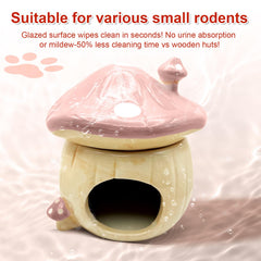 BELEATAL hamster accessories set offers a complete habitat upgrade for enrichment.