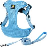 bella-pal adjustable step-in harness overview with easy on-off buckles for daily walks