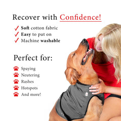 BellyGuard dog-recovery-suit soft-cotton-material offers breathable comfort during healing.