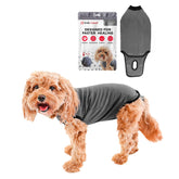 BellyGuard dog recovery suit front view for comfortable post-op wear