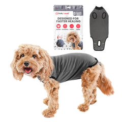 BellyGuard dog surgery recovery suit front view protects stitches and reduces licking