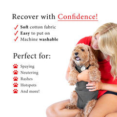 BellyGuard recovery suit sleeve over pup demonstrates slip-on comfort