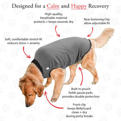 BellyGuard post-op-suit easy-dress-overhead enables simple fits for dogs.