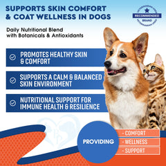 Beloved Pets anti itch drops application for dogs guides gentle ear relief and comfort