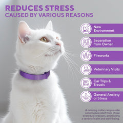 Beloved Pets calming collar packaging highlights drug-free, pheromone-based calm for felines.