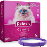 Beloved Pets cat calming collar on cat neck promotes calm and relaxed mood.
