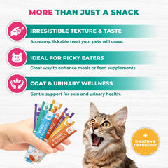 Beloved Pets cat licking creamy paste showing savory flavors and lickable appeal