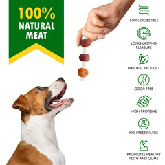 Beloved Pets dental-health chews supporting gums and teeth during snacks
