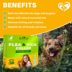 Close-up of the essential oil-repellent collar—Beloved Pets natural pest defense.