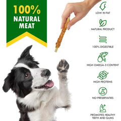Beloved Pets fish-based treats closeup—omega-3 support for skin and coat shine.