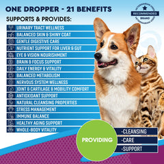 Beloved Pets glucosamine liquid drops focus on joint mobility for dogs and cats.