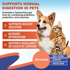 Beloved Pets probiotics enzymes liquid label suggests daily gut support for happy tummies.