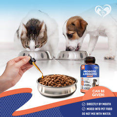 Beloved Pets liquid dropper close-up highlights a mess-free way to supplement digestion.