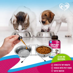 Beloved Pets pumpkin seed extract provides antioxidant support for urinary health.