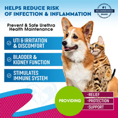 Beloved Pets UTI dropper shows easy daily dosing for pets.