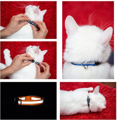 Bemix Pets reflective cat collar in orange lights up your cat at dusk
