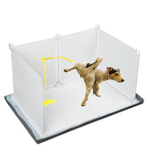 Bencacawinstyle dog litter box with high walls showing protected potty area for clean training
