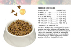 Bench & Field Holistic chicken and brown rice recipe served in a bowl for balance