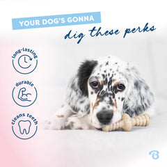 Benebone Maplestick real maplewood flavor for curious pups