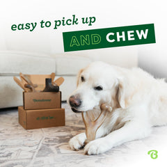 Benebone bacon-flavor chew highlights real flavor dogs notice
