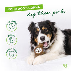 Benebone Pawplexer real-bacon-flavor delivers irresistible aroma during chewing