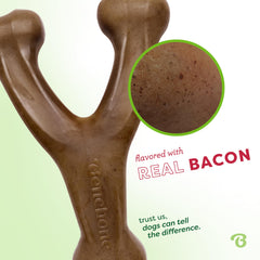 Benebone Wishbone real bacon flavor attracts dogs during tasty chewing sessions