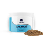 Benepets BeneReef powder tub front for reef nutrition and easy feeding.