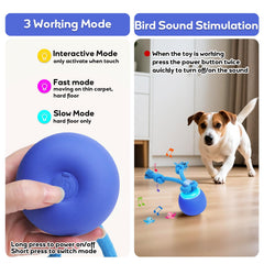 BENTOPAL ball with LED mode indicators shows play style for dog entertainment.