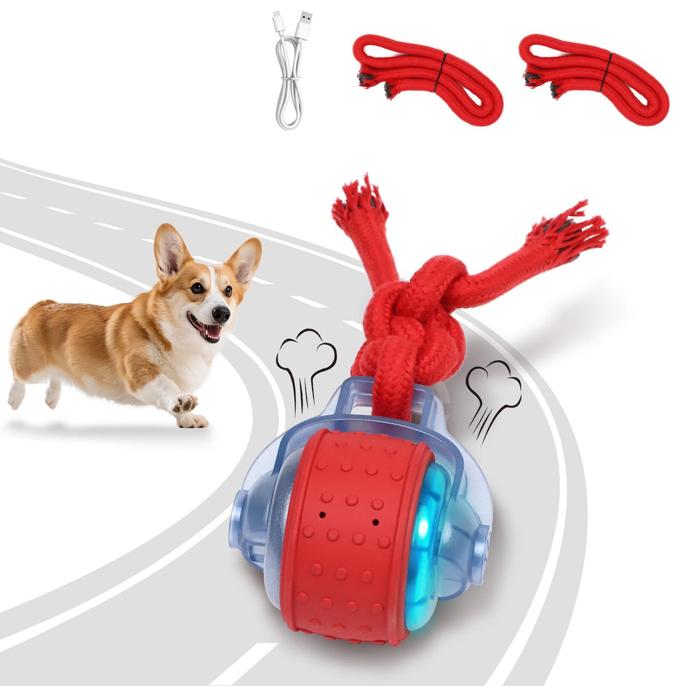 BENTOPAL fast-mode dog ball for energetic puppies, quick chases, high engagement