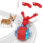 BENTOPAL fast-mode dog ball for energetic puppies, quick chases, high engagement