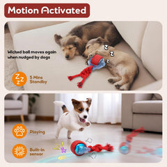 BENTOPAL USB-C rechargeable dog ball powers long cordless play sessions