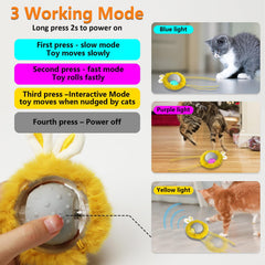 BENTOPAL three-modes show slow, fast, interactive play options