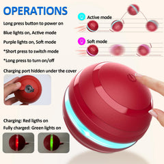 BENTOPAL wicked-ball with plush cover and squeak to attract dogs.