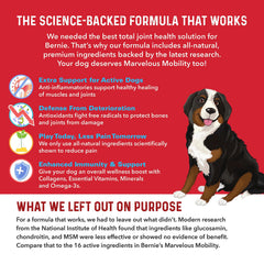 Bernie's Marvelous Mobility bottle label highlights natural ingredients and safe formulation.