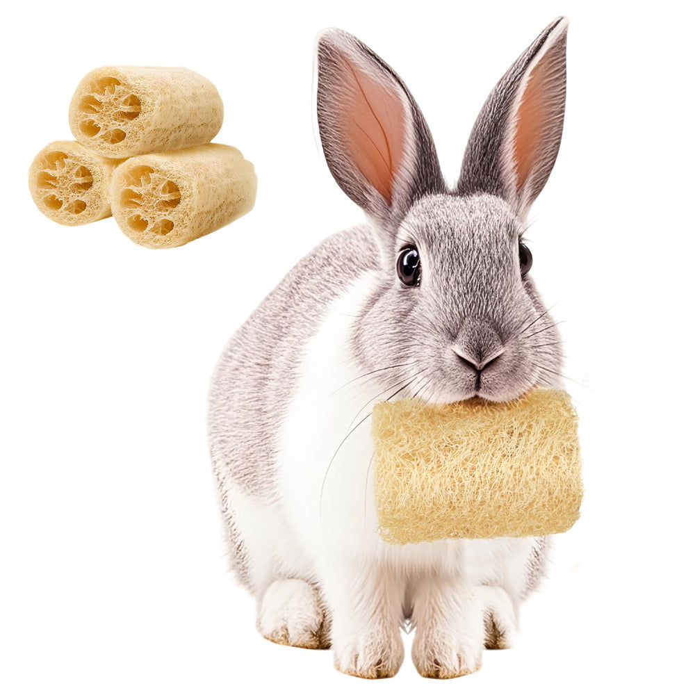 Besnew Rabbit Loofah Toy Set—natural chew options for small pets