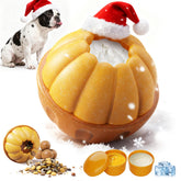 BEST JAJA interactive dog toy with frozen treat ball for slow feeding