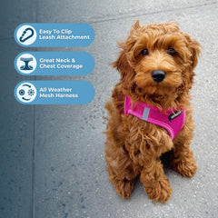 Best Pet Supplies Voyager no-pull design supports relaxed walking without tugging.