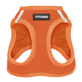 Best Pet Supplies Voyager step-in air harness orange with all-weather mesh for comfortable daily walks.