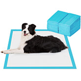 BESTLE extra-large pads with absorbent-5-layer-design for superior liquid capture
