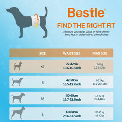 Bestle Male Dog Wrap on small dog's waist showing secure, comfortable fit.