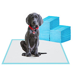 BESTLE pet training pad 24x24 top layer quickly absorbs spills for a clean indoor space.