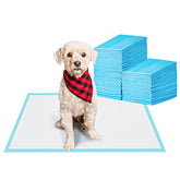 BESTLE pet-training-pads-22x22-absorbent core demonstrates fast uptake for potty training.